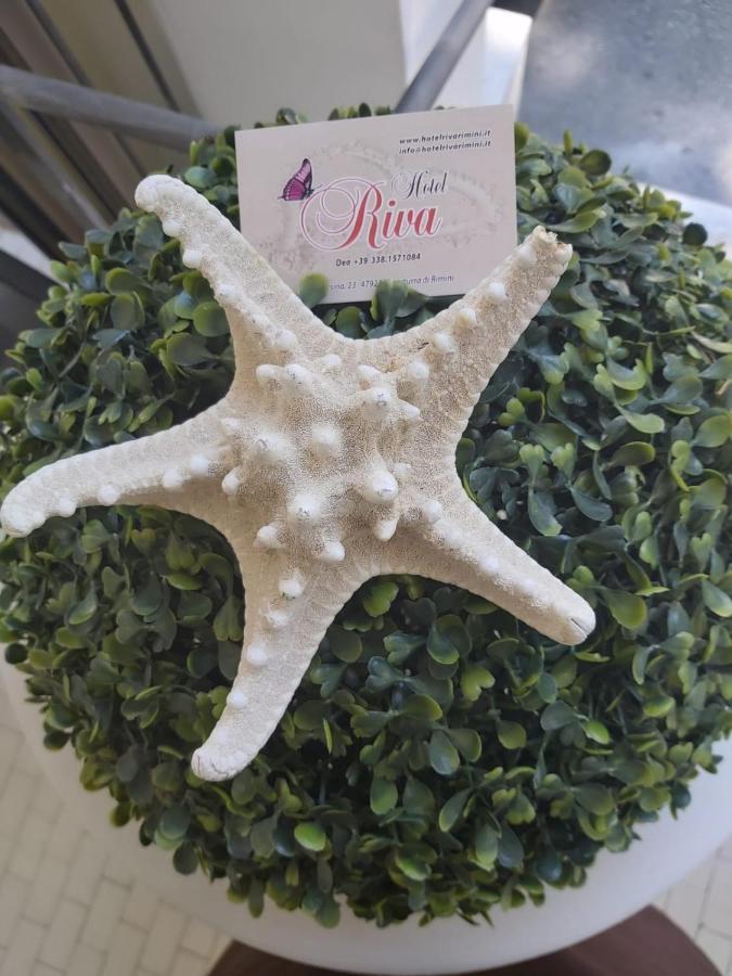 Hotel Riva ริมินี ภายนอก รูปภาพ